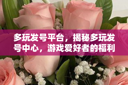 多玩发号平台，揭秘多玩发号中心，游戏爱好者的福利站