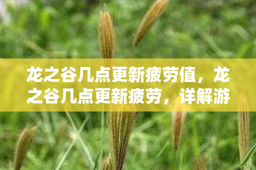 详解游戏日常更新与疲劳系统图片