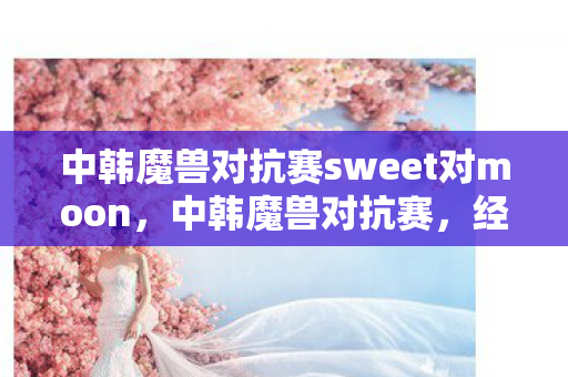 中韩魔兽对抗赛sweet对moon图片