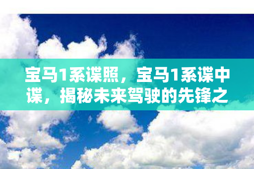 揭秘未来驾驶的先锋之作图片