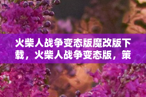 火柴人战争变态版魔改版下载图片