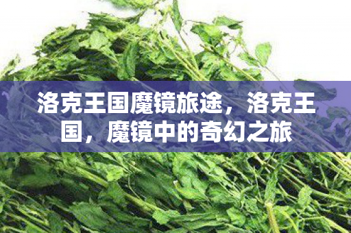 洛克王国魔镜旅途图片