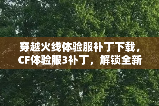 穿越火线体验服补丁下载图片