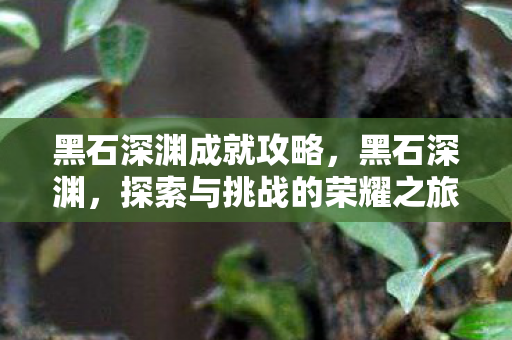 探索与挑战的荣耀之旅图片