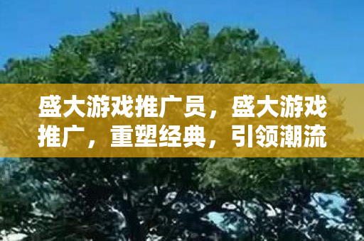 盛大游戏推广员图片