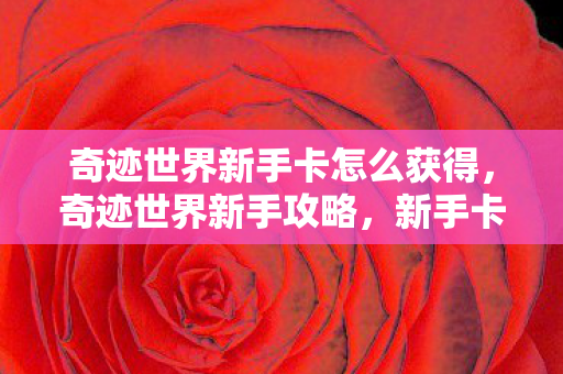 奇迹世界新手卡怎么获得，奇迹世界新手攻略，新手卡的秘密与游戏初探