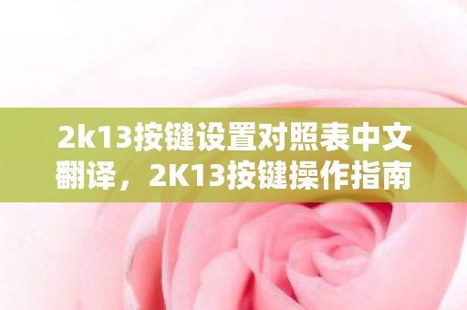 2k13按键设置对照表中文翻译图片