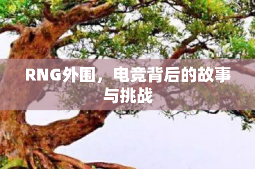 RNG外围，电竞背后的故事与挑战