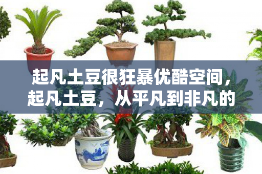 起凡土豆很狂暴优酷空间图片