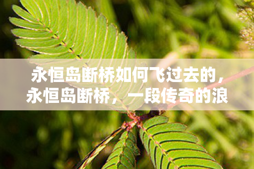 永恒岛断桥如何飞过去的图片