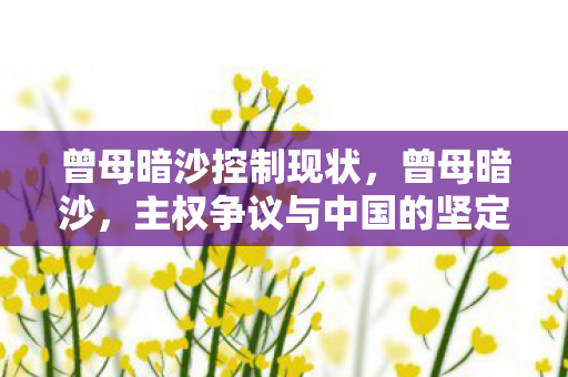 主权争议与中国的坚定立场图片