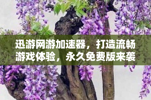 打造流畅游戏体验图片