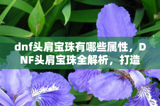 dnf头肩宝珠有哪些属性图片