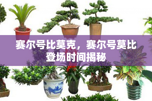 赛尔号莫比登场时间揭秘图片