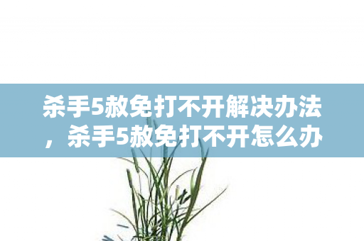 杀手5赦免打不开解决办法图片