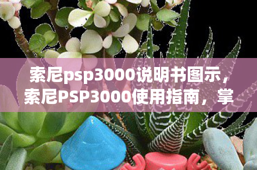 索尼psp3000说明书图示图片