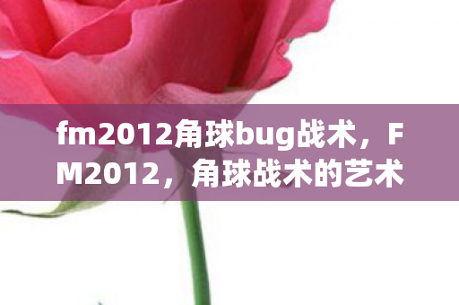 fm2012角球bug战术图片