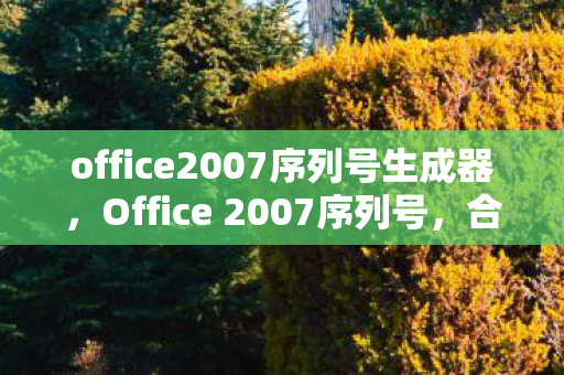 office2007序列号生成器图片