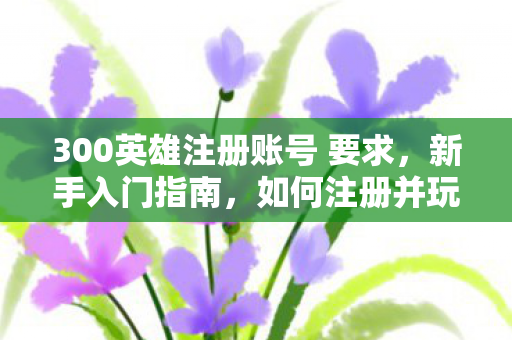 300英雄注册账号 要求图片