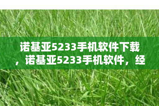 诺基亚5233手机软件下载图片