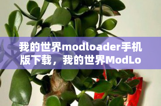 我的世界modloader手机版下载图片