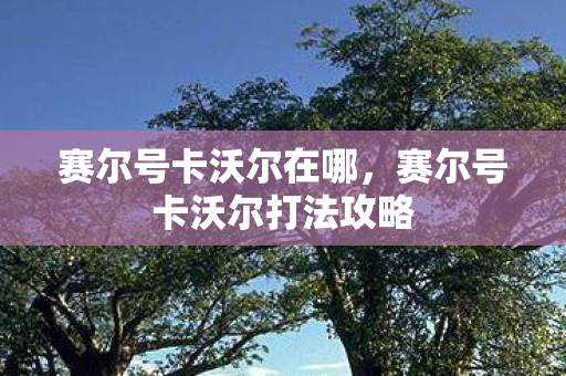 赛尔号卡沃尔打法攻略图片