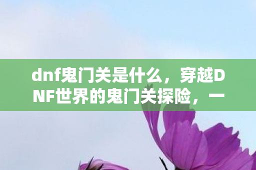 穿越DNF世界的鬼门关探险图片