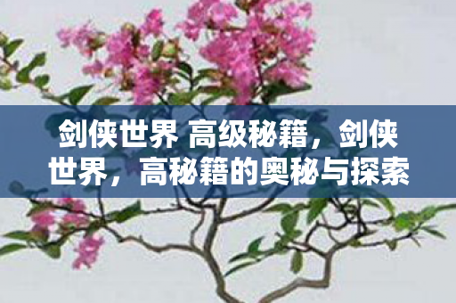 剑侠世界 高级秘籍图片