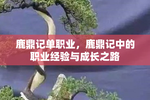 鹿鼎记单职业，鹿鼎记中的职业经验与成长之路
