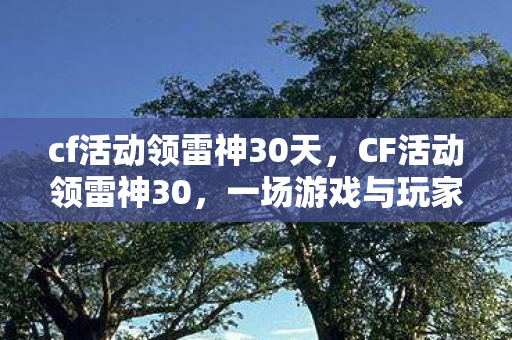 一场游戏与玩家的狂欢盛宴图片