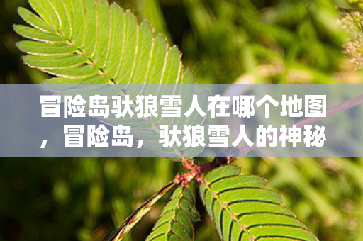冒险岛驮狼雪人在哪个地图图片
