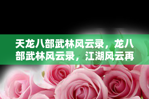 天龙八部武林风云录图片