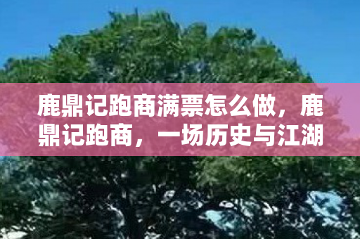 鹿鼎记跑商满票怎么做，鹿鼎记跑商，一场历史与江湖的交融之旅