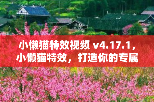 小懒猫特效视频 v4图片