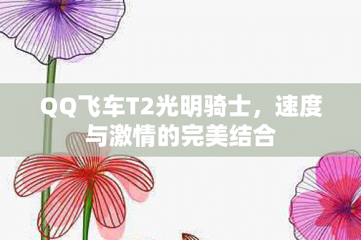 QQ飞车T2光明骑士图片