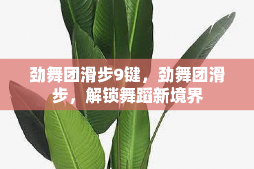 劲舞团滑步9键图片