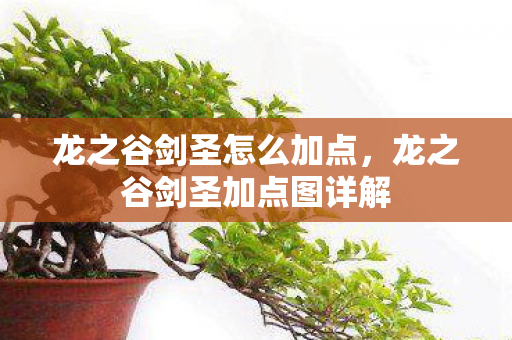 龙之谷剑圣加点图详解图片