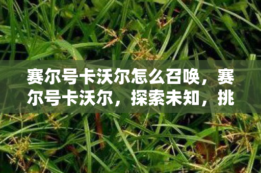 赛尔号卡沃尔怎么召唤图片