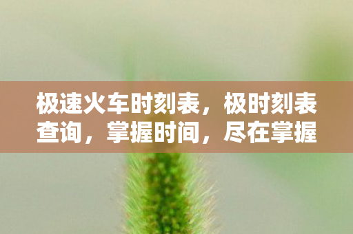 极速火车时刻表图片