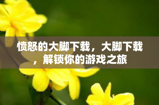 解锁你的游戏之旅图片