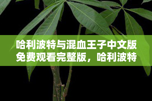 哈利波特与混血王子中文版免费观看完整版图片