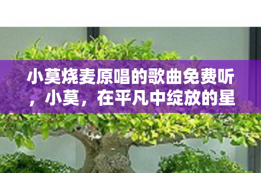 小莫烧麦原唱的歌曲免费听图片