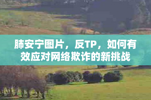 如何有效应对网络欺诈的新挑战图片