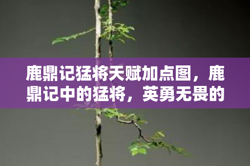鹿鼎记猛将天赋加点图，鹿鼎记中的猛将，英勇无畏的江湖英雄传奇
