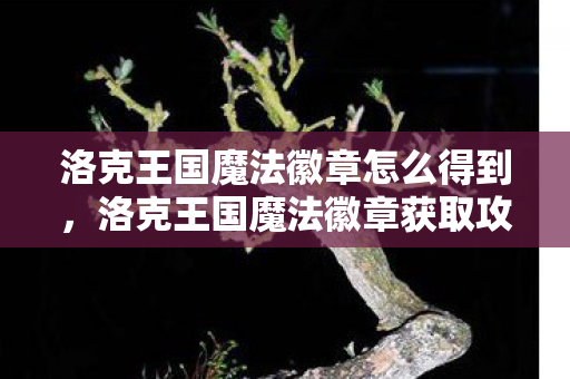 洛克王国魔法徽章怎么得到图片