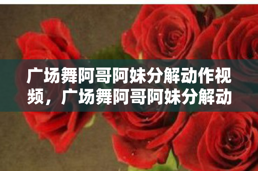 广场舞阿哥阿妹分解动作视频图片