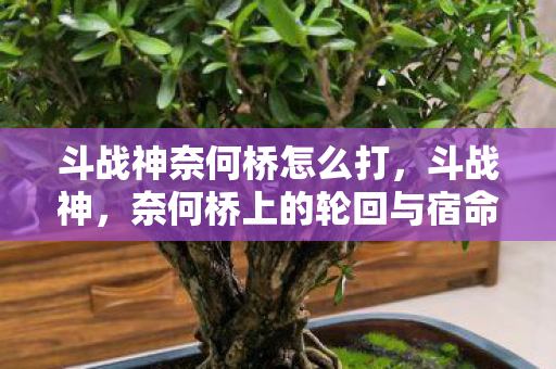 奈何桥上的轮回与宿命图片