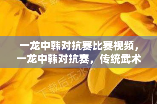 传统武术与现代搏击的碰撞图片