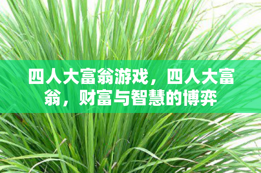 财富与智慧的博弈图片