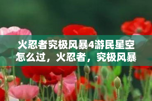 火忍者究极风暴4游民星空怎么过图片